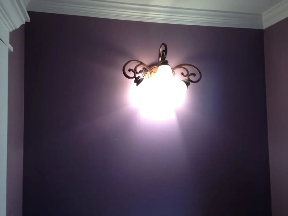 Deep plum painted wall with a wall sconce and white crown molding